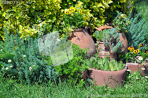 Image of Flower Garden and Crockery