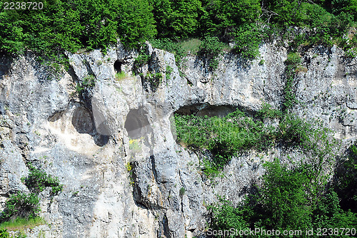 Image of Closeup Limestone Rock