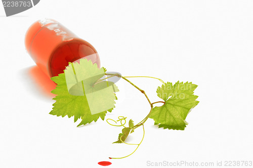 Image of bottle of wine