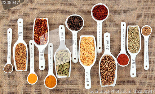 Image of Spice Measurement