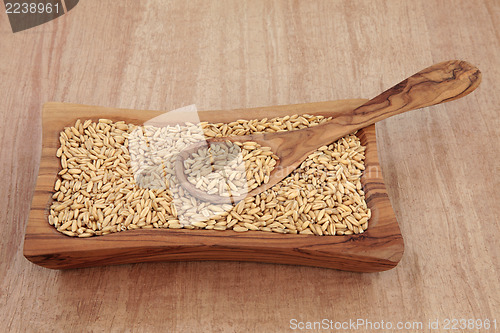 Image of Oat Groats