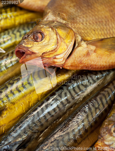 Image of Fish shop