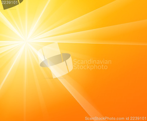 Image of Sunny Sunshine