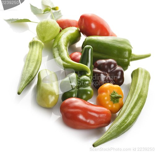 Image of Fresh Vegetables