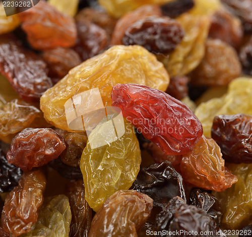 Image of Gourmet Raisins Mix