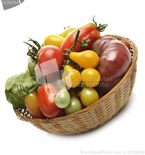 Image of Fresh Tomatoes