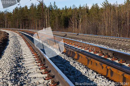 Image of Railway in the forest makes a smooth turn