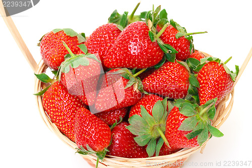 Image of Ripe Red Strawberries in basket