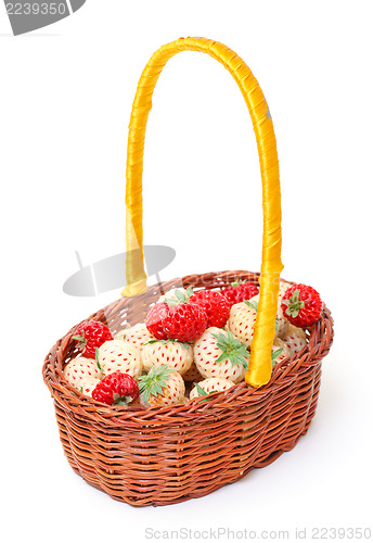 Image of Ripe White and Red Strawberries in basket