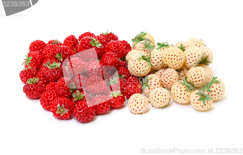 Image of Ripe White and Red Strawberries