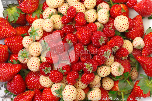 Image of Ripe White and Red Strawberries on plate