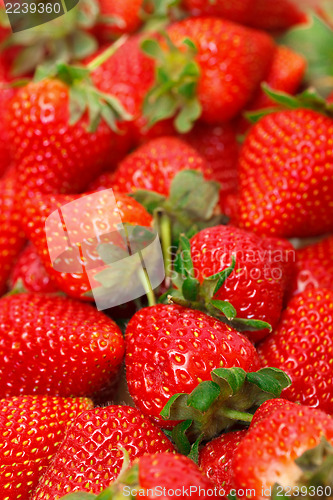 Image of Ripe Red strawberries