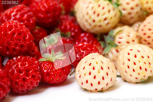 Image of Ripe White and Red Strawberries