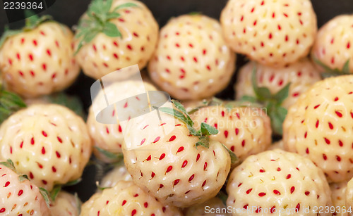 Image of Ripe White strawberries, pineberries