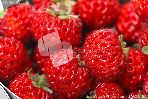 Image of Ripe Red strawberries