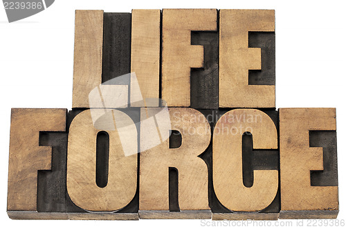 Image of life force in wood type