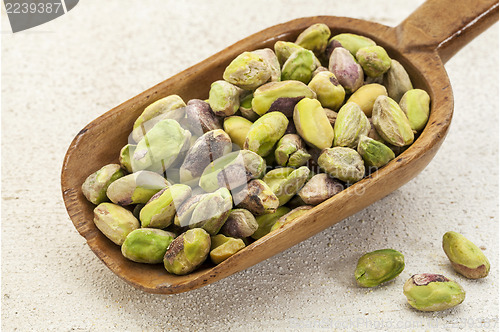 Image of raw pistachio nuts on a scoop