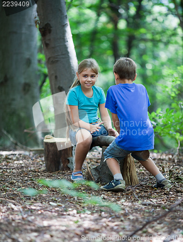 Image of Teeter-totter in wood