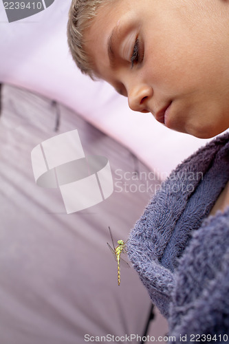 Image of Dragonfly sits on  boy's clothes