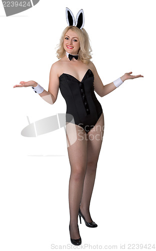 Image of Young woman in sexy bunny suit on white background