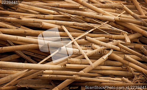 Image of Debris - bamboo sticks in heap