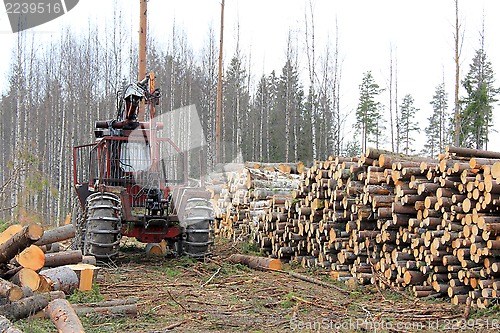 Image of Old Forestry Tractor at Early Spring Logging Site