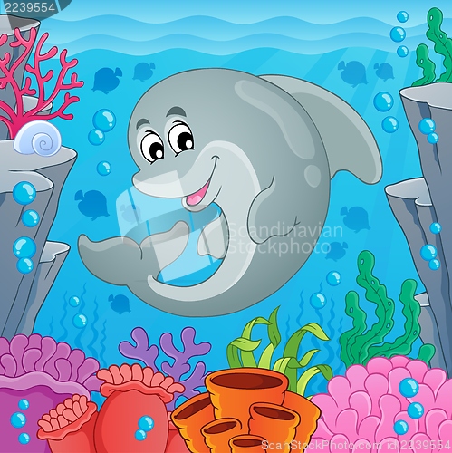 Image of Image with dolphin theme 6