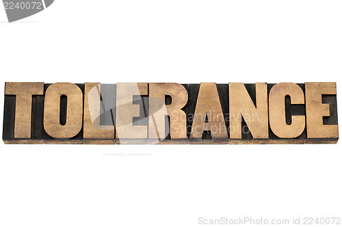 Image of tolerance word in wood type