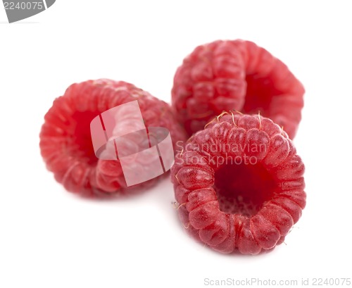 Image of Ripe raspberries