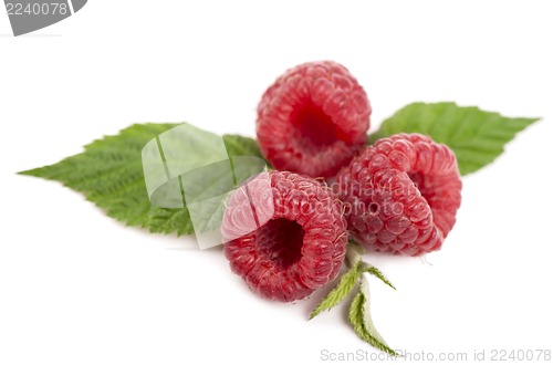 Image of Ripe raspberry with green leaf