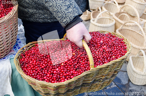 Image of hand farmer wick basket mossberry market ecologic 
