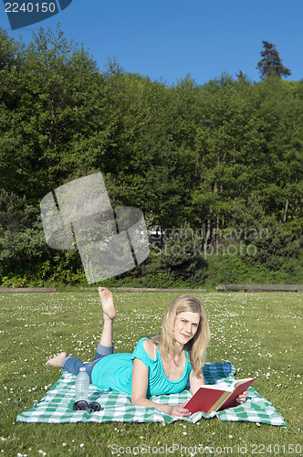 Image of Woman reading a book in a park