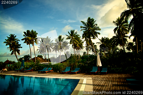 Image of Tropical Resort  Swimming Pool 