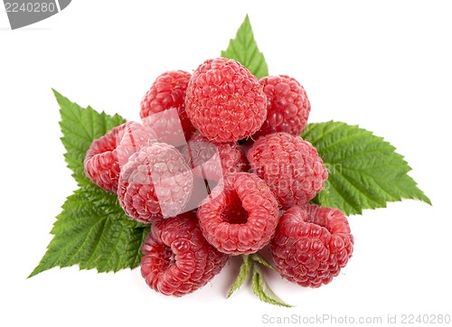 Image of Ripe raspberry with green leaf