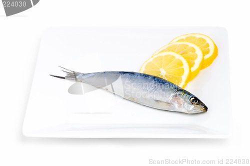 Image of Sardine and lemon