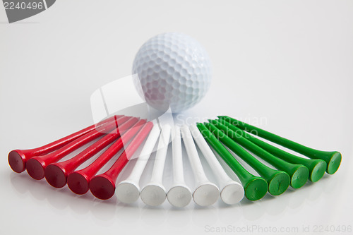 Image of The colorful wooden golf tees 