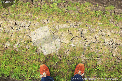 Image of Orange boots on ground from above