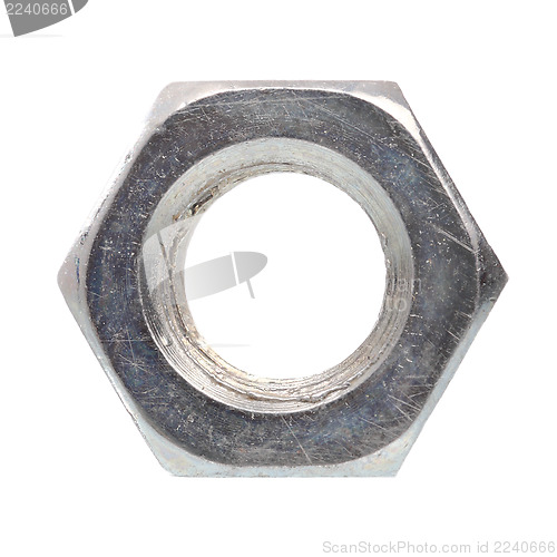 Image of Nut