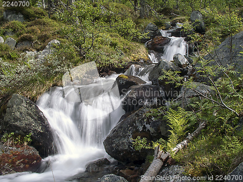 Image of  mountain stream 