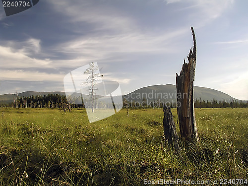 Image of Nature Landscape
