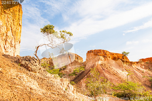 Image of Marafa Canyon - Kenya