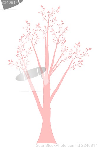 Image of Olive Tree