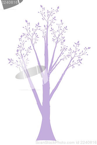 Image of Olive Tree