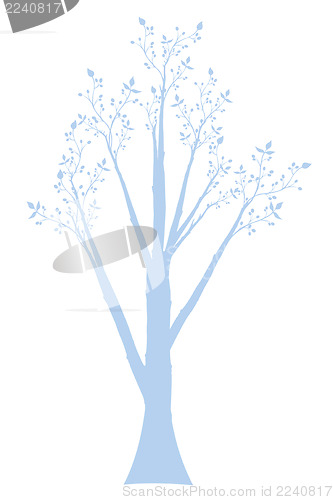 Image of Olive Tree