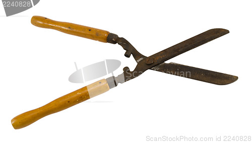 Image of gardener hedge trimmer clipper tool isolated white 