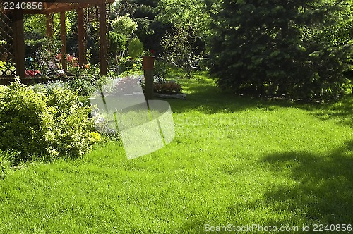 Image of peaceful garden. spring