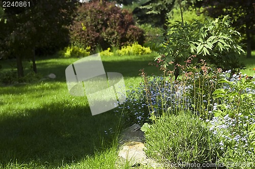 Image of peaceful garden. spring