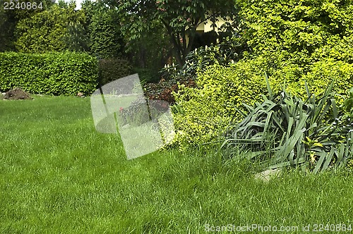 Image of peaceful garden. spring