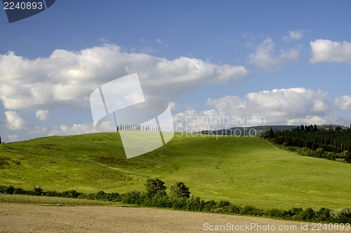 Image of Hills in spring