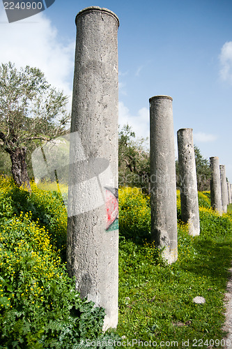 Image of Sebastia archeology ancient ruins